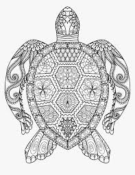 By best coloring pagesfebruary 26th 2019. Sea Turtle Line Drawing Mandala Animal Colouring Pages Hd Png Download Transparent Png Image Pngitem