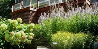 Maybe you would like to learn more about one of these? Plants For Landscaping Landscaping Network