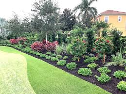 Image result for Carissa