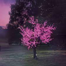 Illuminated Decorative Led Tree Led Tree Enchanted Tree Outdoor Lighting