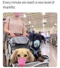 The app catered to dating app gifs and share the. The Best Walmart Memes Memedroid