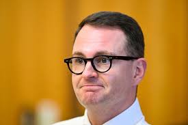 Federal politics: Anthony Albanese defends Dorinda Cox defection despite  past Labor criticism — as it happened - ABC News