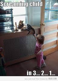 2 To The 1 To The 1 To The 3 Meme 3 2 1 Funny Animals Funny Animals With Captions Funny Captions