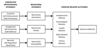 Children of narcissists have a difficult life, often taking on certain roles to try and get through growing up in a there are five common themes often seen in narcissistic families: Ijerph Free Full Text Narcissism And Exercise Addiction The Mediating Roles Of Exercise Related Motives Html