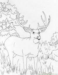 These alphabet coloring sheets will help little ones identify uppercase and lowercase versions of each letter. Muledeer Coloring Page For Kids Free Deer Printable Coloring Pages Online For Kids Coloringpages101 Com Coloring Pages For Kids