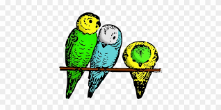Green And Yellow Budgie Perched On A Stick Cartoon Parakeet Cartoon Transparent Free Transparent Png Clipart Images Download Draw a long line at the bottom as a guide for the budgie's tail. green and yellow budgie perched on a