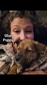 Good night, Noodle!, #emotionalrescuedogs #rescue