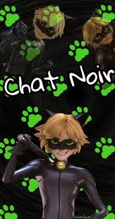 We support all android devices such as samsung, google, huawei, sony, vivo, motorola. Chat Noir Wallpaper Posted By Zoey Anderson