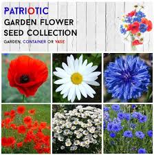 The blue variety wedgewood (iris xiphium wedgewood) is the familiar florist's iris, forced for. Red White And Blue Patriotic Garden Flower Seed Collection Patriotic Flowers Blue Flowers Garden Flower Seeds