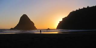Whaleshead Beach Oregon Beaches Beach The Great Outdoors