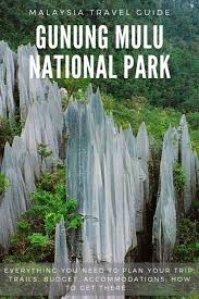 Mar 29, 2020 · gunung mulu national park has a spectacular tropical karst limestone rainforest, with stunning pinnacles and impressive cave systems. Pin On Travel