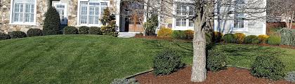 Pearland, tx 242 lawn care services near you. Home A Cut Above Lawncare