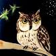 Paint an Owl on a Branch with Pop Up Art School event image