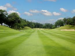 １番安くゴルフコースへ行くならコスモクラシック 千葉 で間違いなし いかぺいgolf