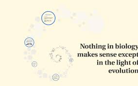 Nothing In Biology Makes Sense Except In The Light Of Evolut By Cassie Clarke