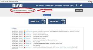 What is the cause for tubidy retains redirecting? 5 Cara Mudah Download Video Youtube Dari Hp Dan Laptop Pricebook