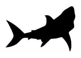 Black And White Shark Stickers Shark Silhouette 2 Decal Sticker Shark Silhouette Shark Images Silhouette Images