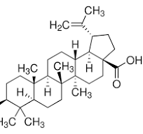 Maslinic acid = 98 HPLC 4373-41-5