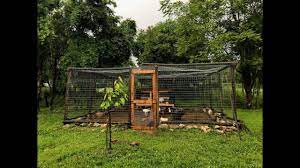 Se l'allevamento di uccelli è pianificato su larga scala per te o per la vendita, dovresti costruire un pollaio solido di cemento espanso. Pollaio Fai Da Te Youtube