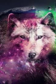 We have a massive amount of desktop and mobile backgrounds. Pink Star Wolf Wallpaper Download To Your Mobile From Phoneky