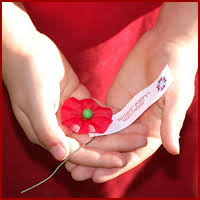 Image result for Poppy Red 1999 AAV