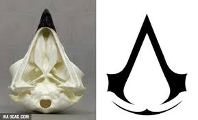 Assassin creed logo, assassins creed, art, red, backgrounds, symbol. The Skull Of An Eagle And The Logo Of Assassin S Creed Mind Blown 9gag
