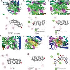 Image result for Swertia tetrandra