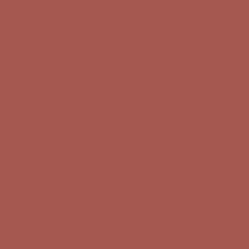 1203 Warm Sienna Paint Color