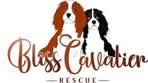Maybe you would like to learn more about one of these? About Bliss Cavalier Rescue