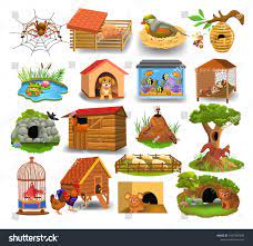 Animal Homes Isolated On A White Backgroundhomes Animal Isolated Background Animal House Royalty Free White Background