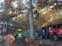 Affordable tree care near me. Affordable Tree Care Of Boone Nc Tree Service Company Affordable Tree Care Of Boone Nc Tree Cutting Service Removal