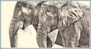 Trunks And Texture African Elephants Fine Art Pencil Drawings Pencil Drawings Of Animals Skin Drawing Pencil Drawings
