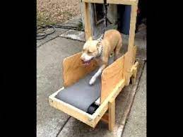 Dog Hacks Puppys Doghackspuppys Dog Playground Dog Treadmill Outdoor Dog Toys