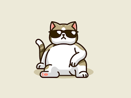 Swag Cat Swag Cartoon Cartoon Cat Drawing Cartoon Cat