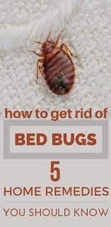 How To Get Rid Of Bed Bugs 5 Home Remedies You Should Know Topcleaningtips Com Rid Of Bed Bugs Bed Bugs Bed Bug Remedies