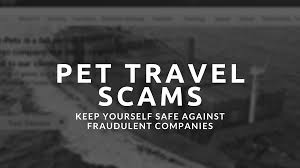 I want to let you all know that frank and i have been the victims of credit card fraud this week and felt i should warn you all about the clever scam. Beware Of Pet Travel Scams Airpets