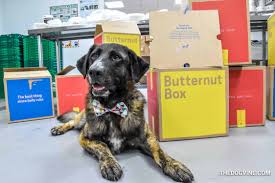 A fresh take on dog food. What Did Ned From All Dogs Matter Think Of Butternut Box