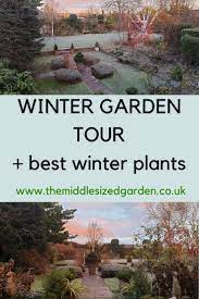 Really Easy Winter Garden Plants They Ll Add Structure And Style To Your Garden All Year Round Gardening Middlesiz Winter Garden Garden Tours Urban Garden