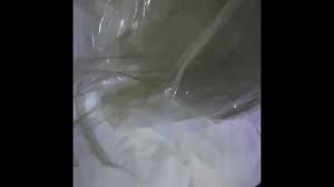 Jacky Ramírez - Una Experiencia Única