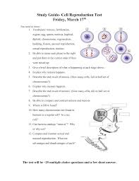 How to unhide worksheets in excel. Study Guide Cell Reproduction Quiz