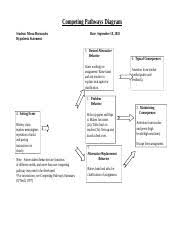 competing pathways diagram doc competing pathways diagram