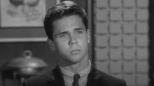 Leave It To Beaver's Tony Dow Played Wally Cleaver More Than You Thought