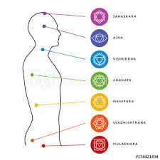 Chakra System Of Human Body Chart Seven Chakra Symbols