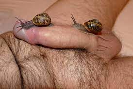 Snails exploring my cock - Slug Porn | MOTHERLESS.COM ™