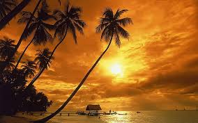 Is there anything better than spending a day at the beach? Tropical Sunset Sunset On Beach Nature Scenery Beautiful Nature Wallpapers Hd Wallpaper Wallpaperbetter