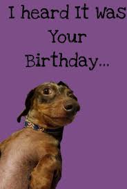 A group of funky disco monkeys sing you a special birthday song. Funny Dog Birthday Card Zazzle Com In 2021 Dog Birthday Card Happy Birthday Wishes For A Friend Happy Birthday Girl Quotes