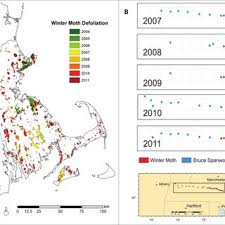 We did not find results for: Pdf Biology Spread And Biological Control Of Winter Moth In The Eastern United States United States Department Of Agriculture