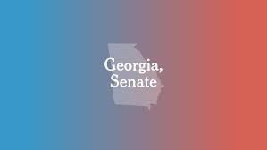 Georgia Senate Special Election Results The New York Times