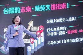 Image result for 青年挺蔡英文連任