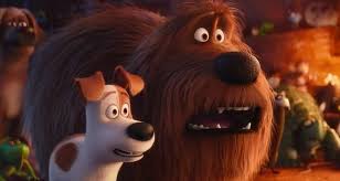 Singuri AcasÄƒ 2016 Singuri AcasÄƒ The Secret Life Of Pets 2016 Film Animatie Online Dublat In Limba Romana AnimaÈ›ia Desene Animate